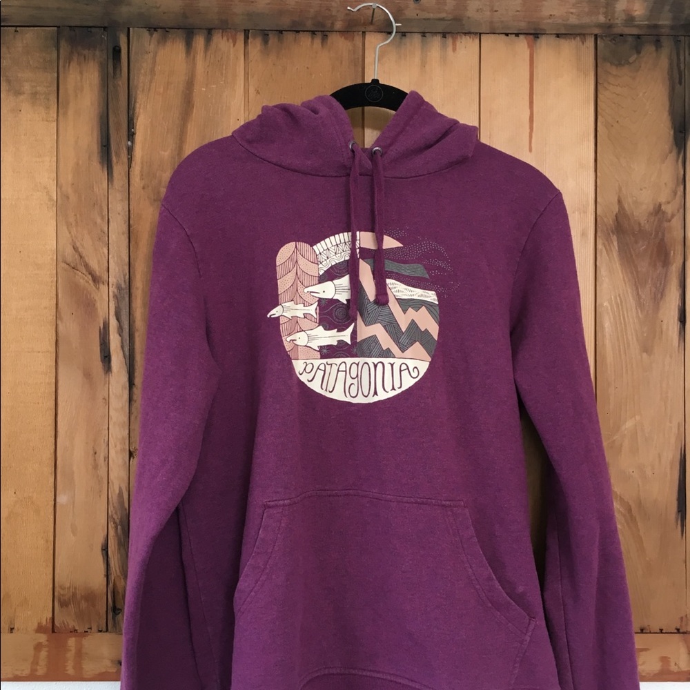 Patagonia Pullover Hoodie